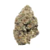 High THCA Flower Ice Oreaoz 1g