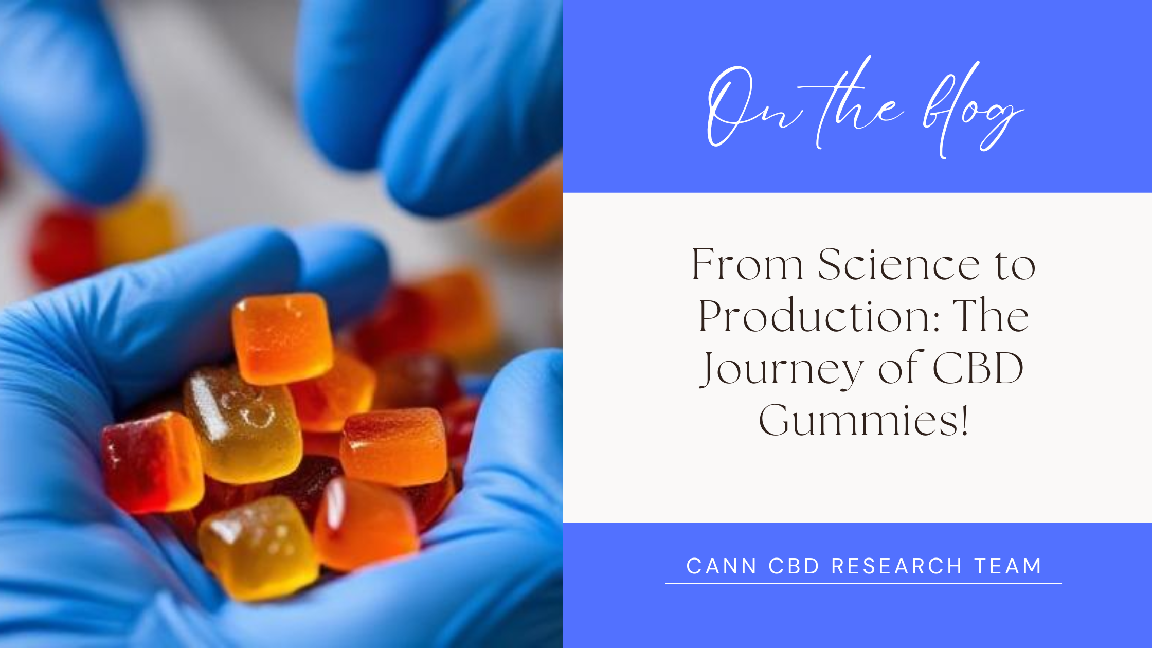 CBD Gummies