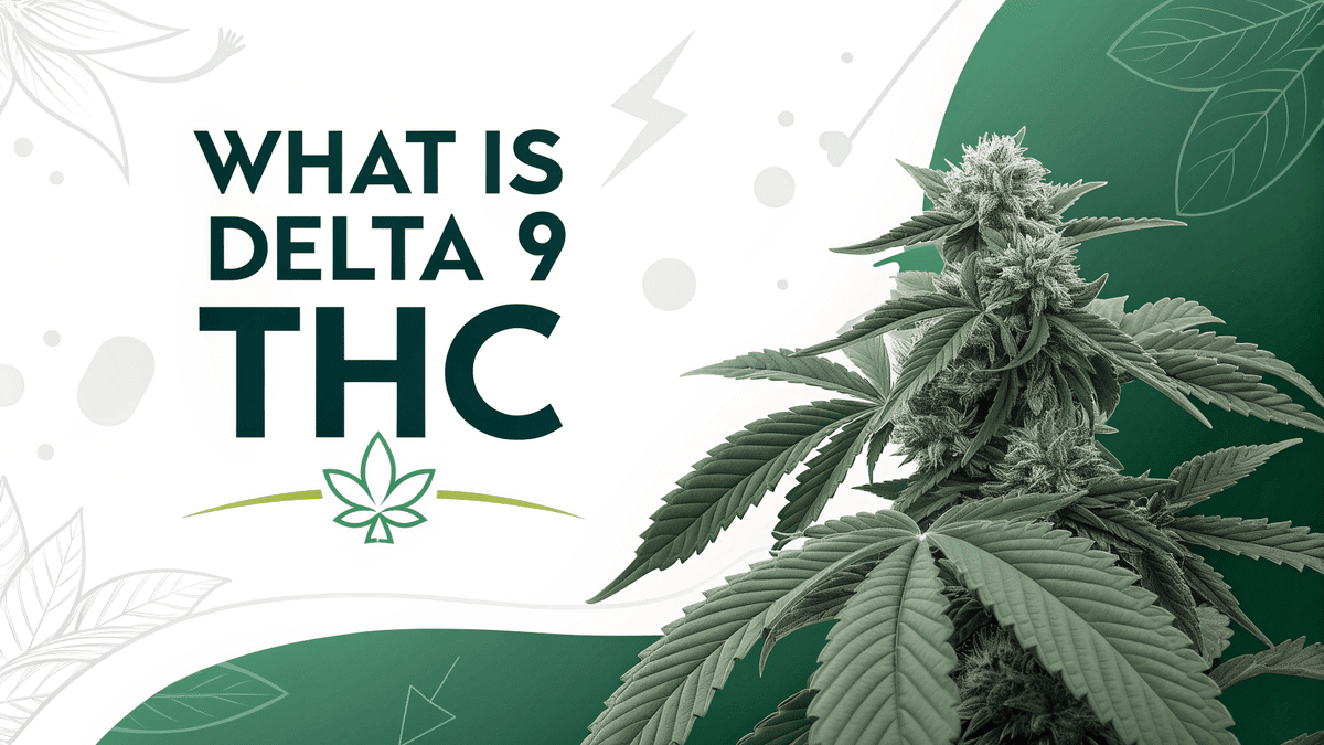Delta 9 THC Gummies